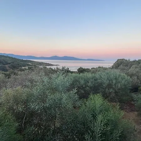 Guest house Climatisee Proche De La Cargese